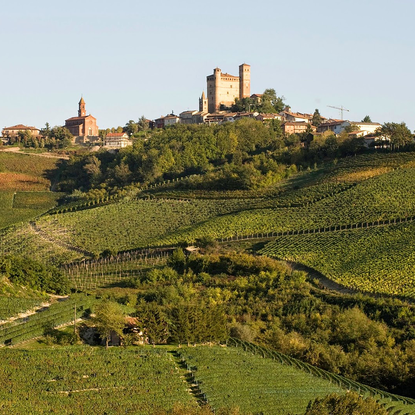 Vietti Barolo Lazzarito Serraluna d’Alba 2019