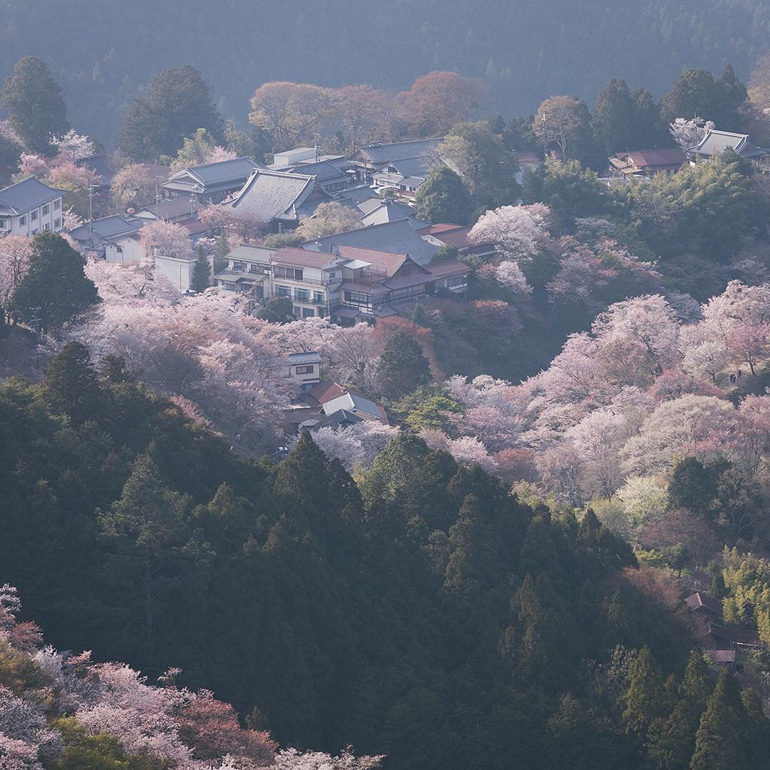Hibiki 30 Year Old Blended Japanese Whisky 700ml
