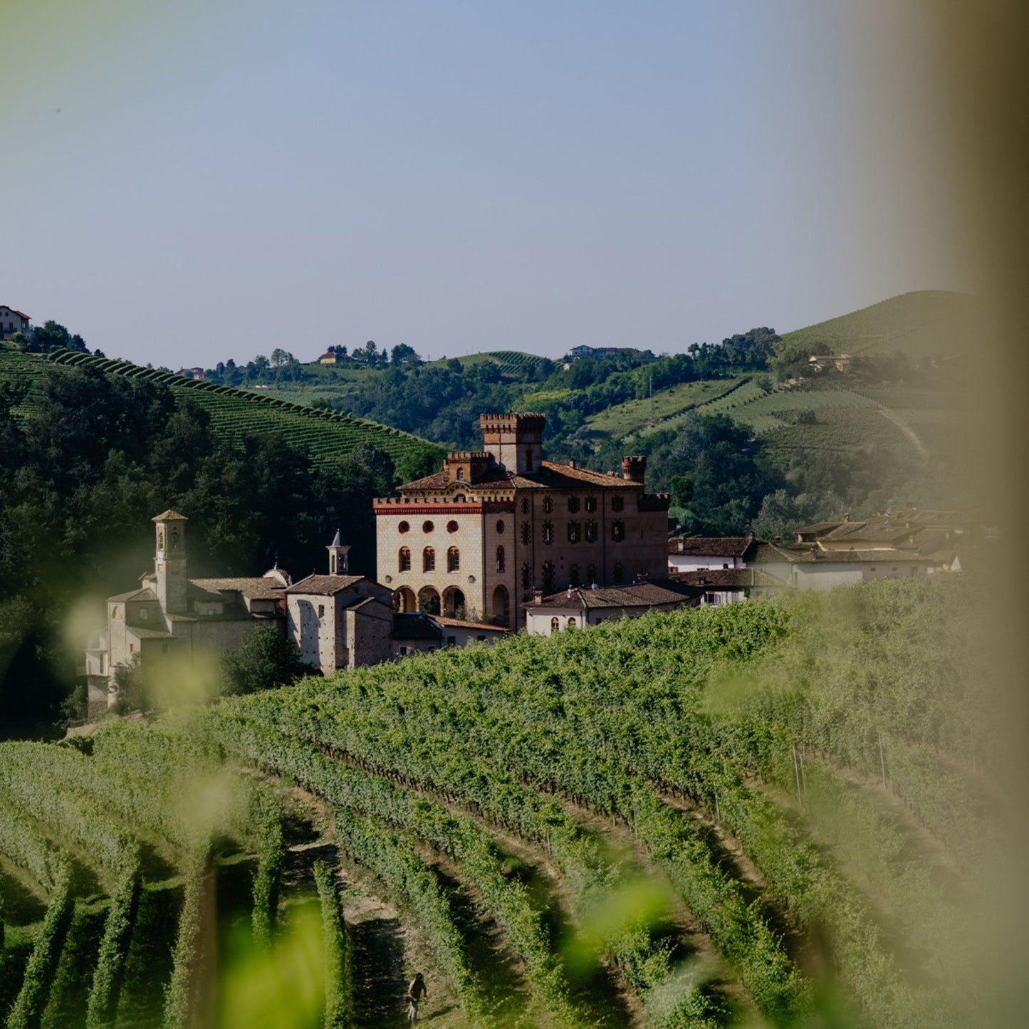 Ceretto Langhe D.O.C. Arneis Blangé 2022