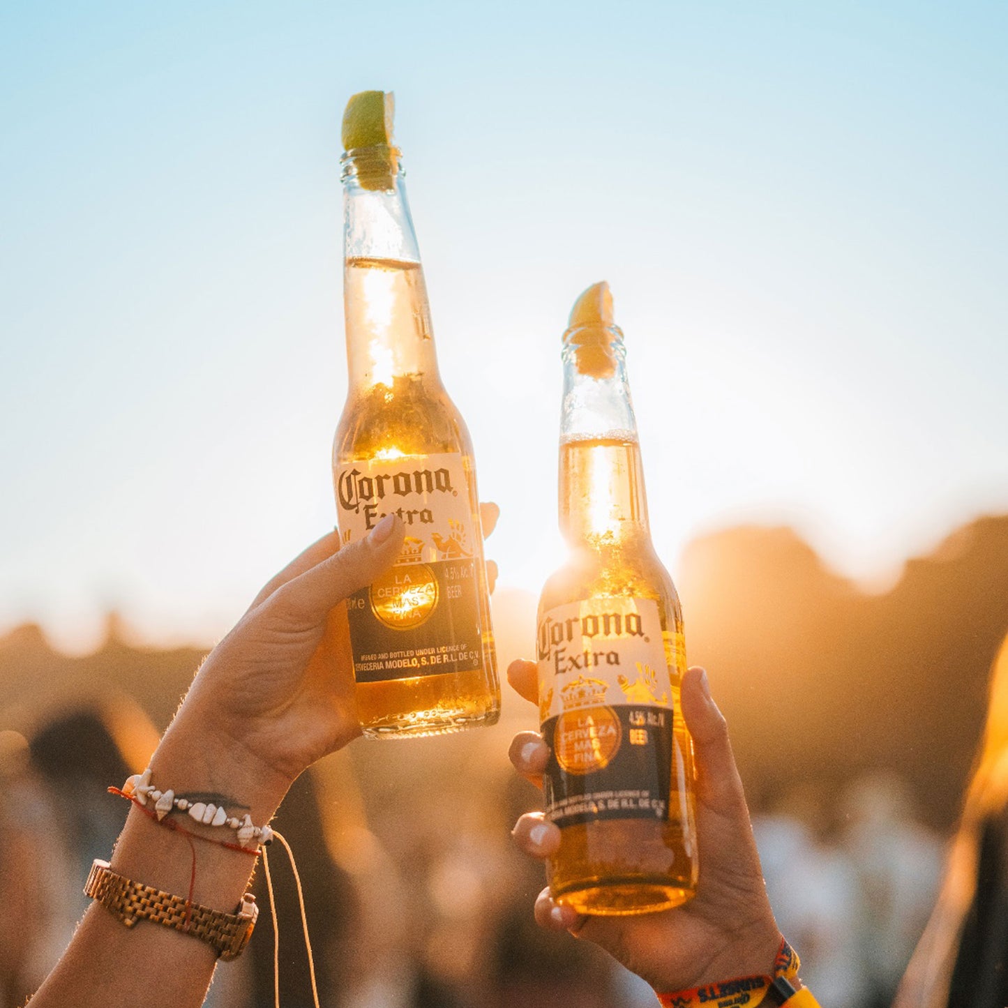 Corona Extra (12 Pack)