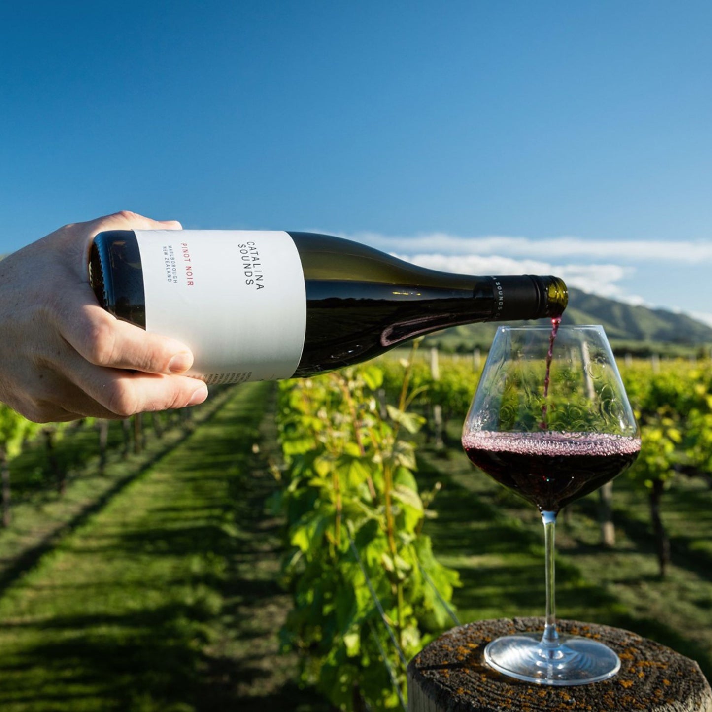 Catalina Sounds Pinot Noir 2023