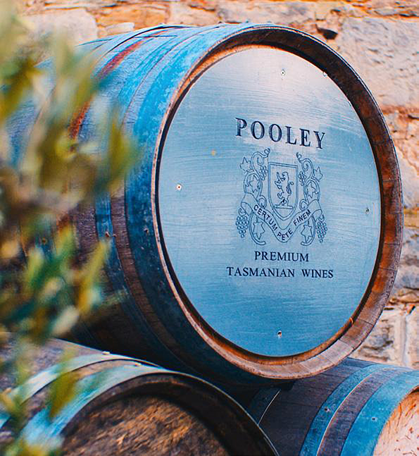 Pooley Pinot Grigio 2024