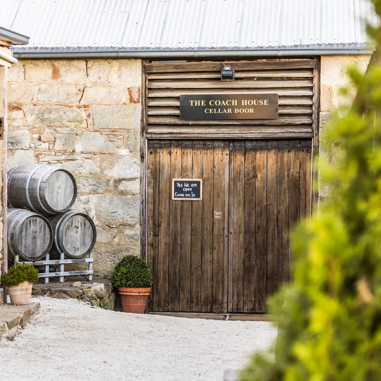 Pooley Pinot Grigio 2024
