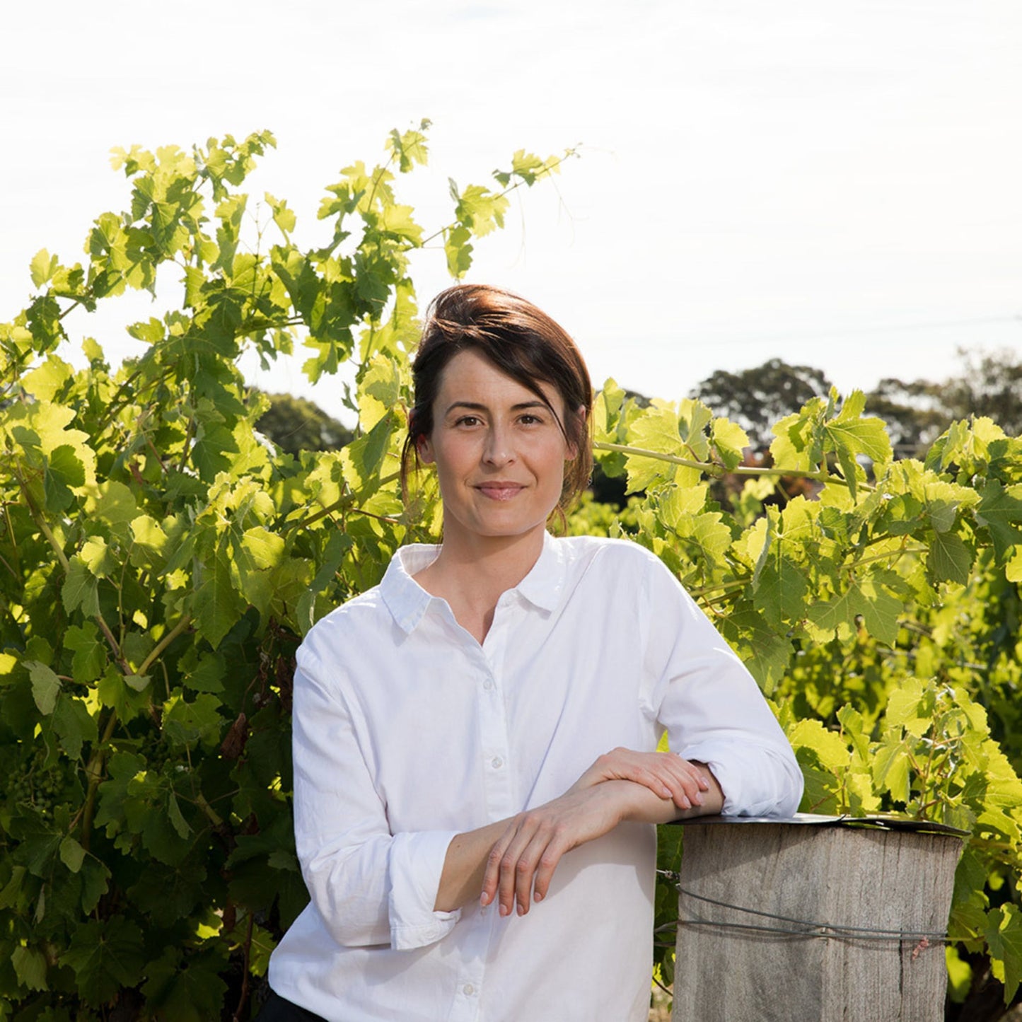 Penfolds St. Henri Shiraz 2019