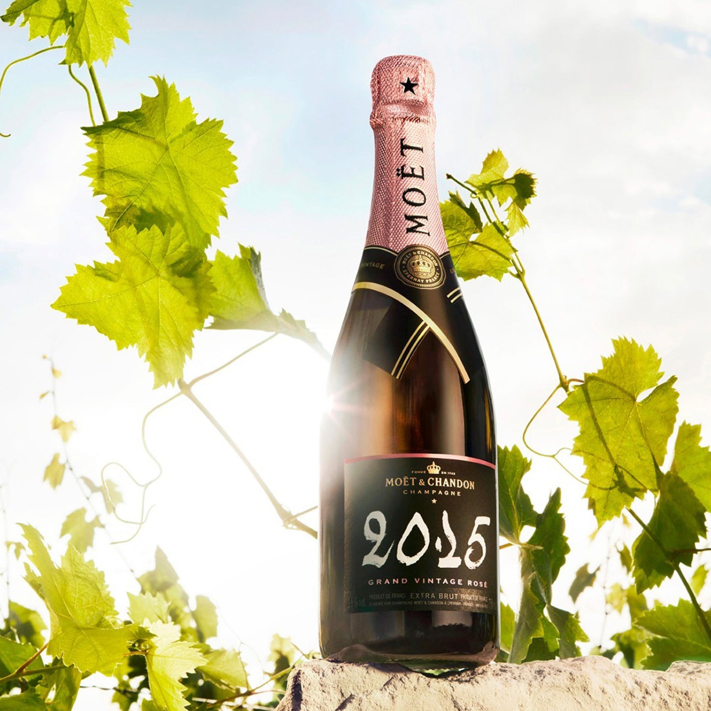 Moët & Chandon Grand Vintage Rosé 2015
