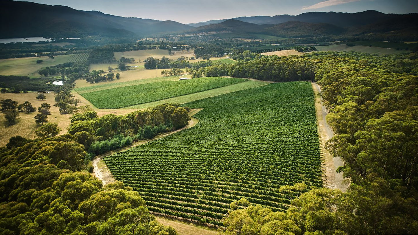 Giant Steps Applejack Vineyard Pinot Noir 2021