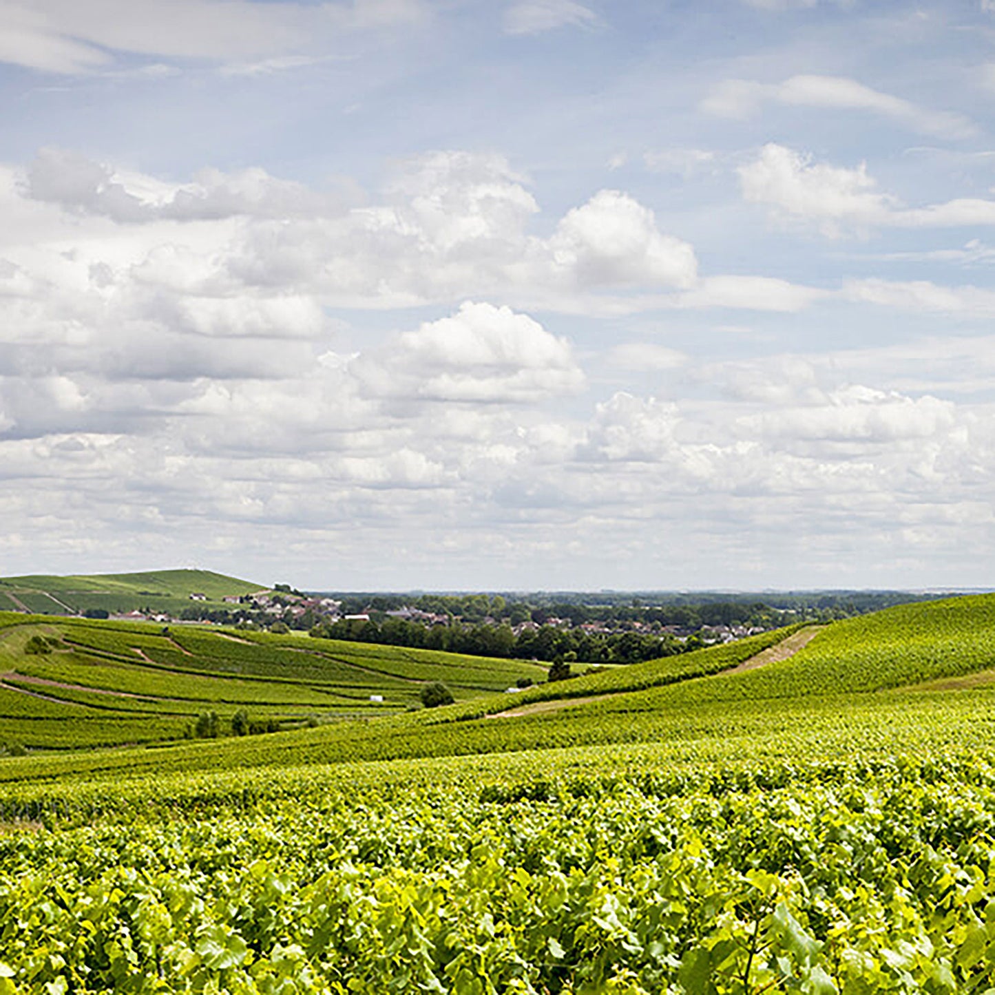 Pommery Brut Royal NV 375ml