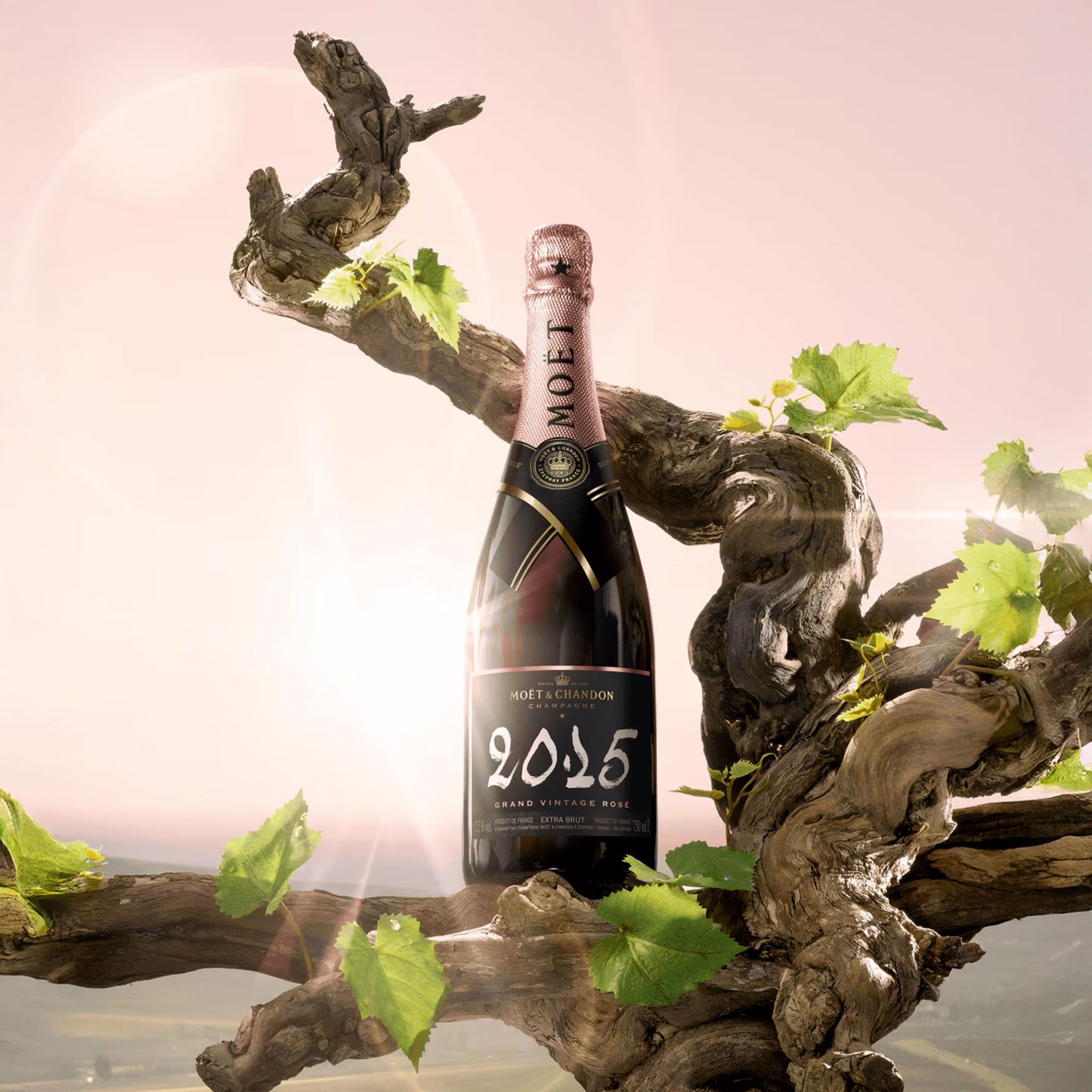 Moët & Chandon Grand Vintage Rosé 2015