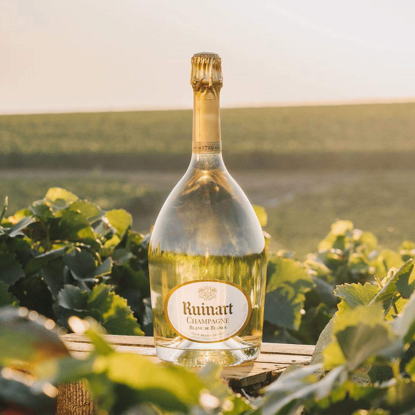 Ruinart Blanc de Blancs NV