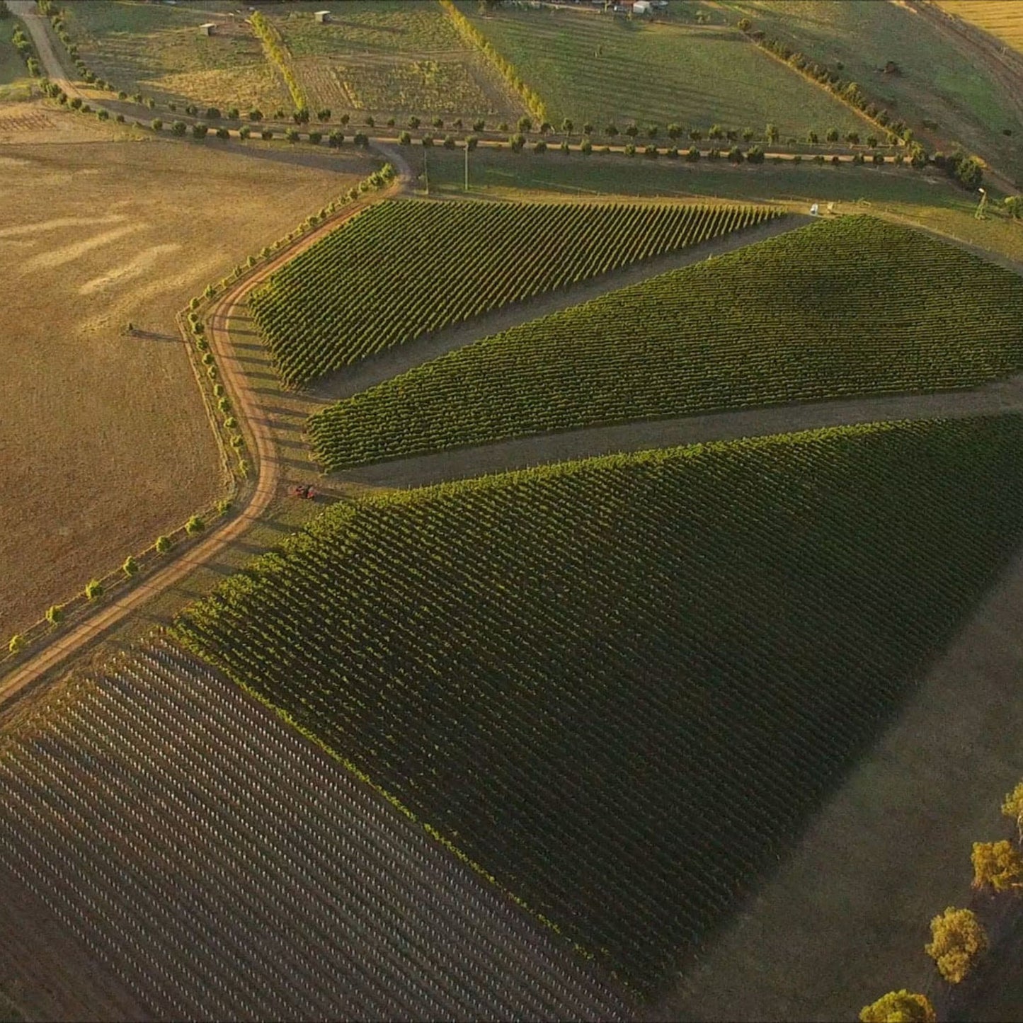 By Farr Sangreal Pinot Noir 2022