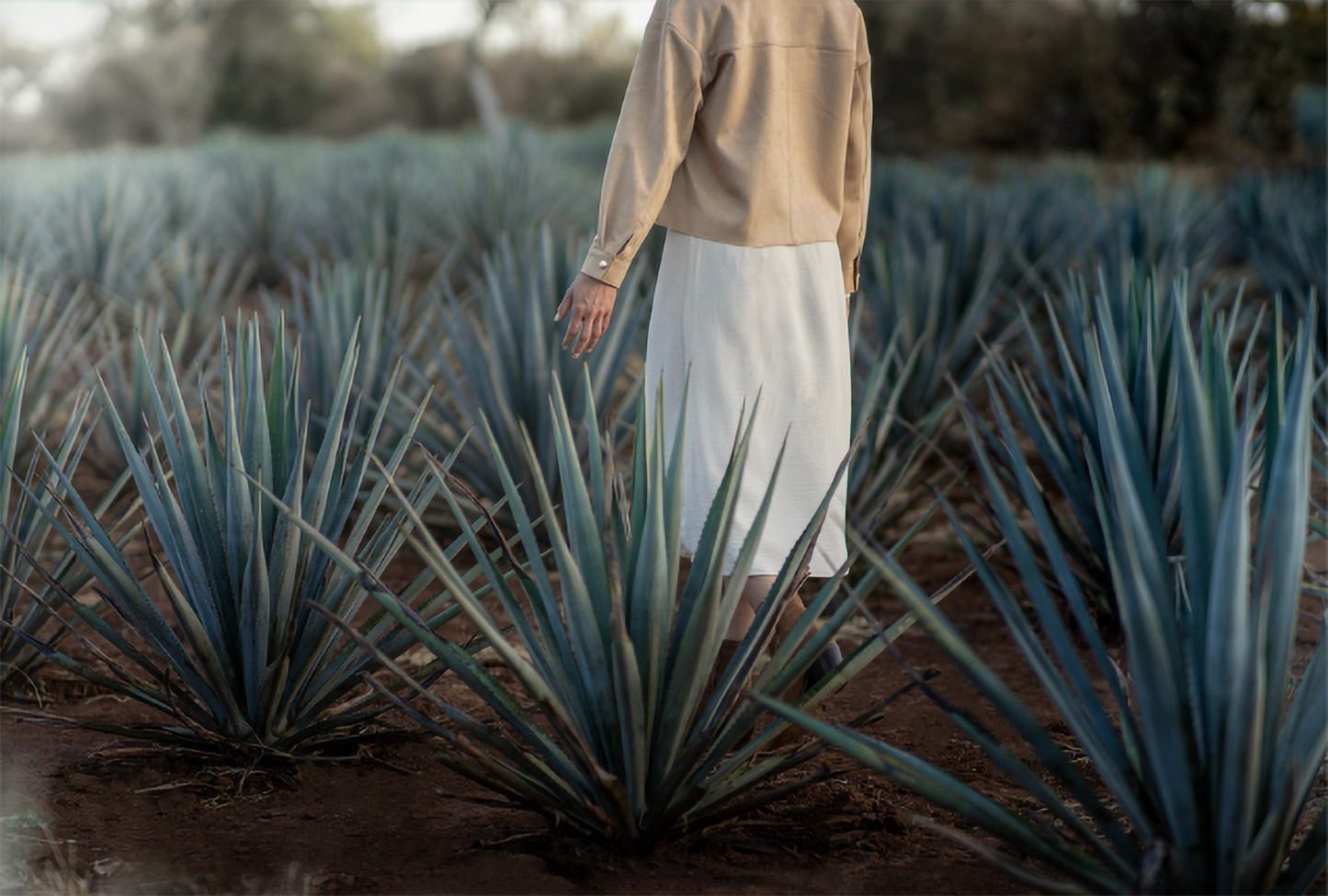 Clase Azul Tequila Plata 750ml