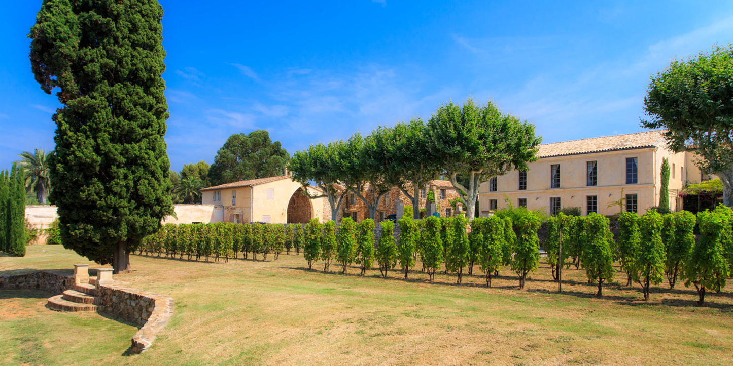 Domaines Ott Clos Mireille Coeur de Grain Rosé 2022