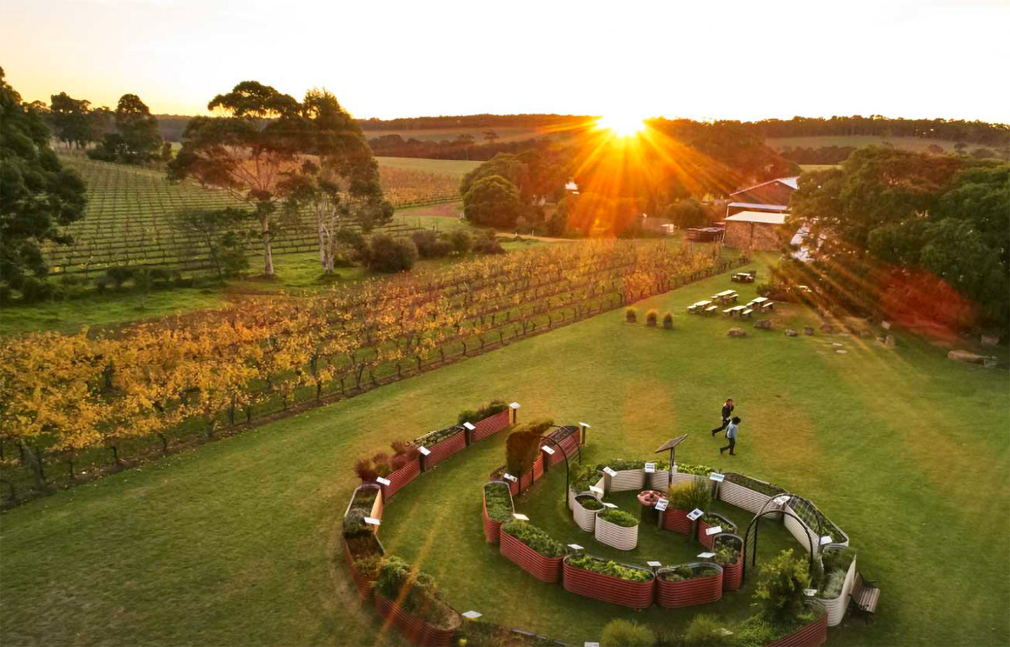 Cullen Wines Flower Day Vanya Cabernet Sauvignon 2018