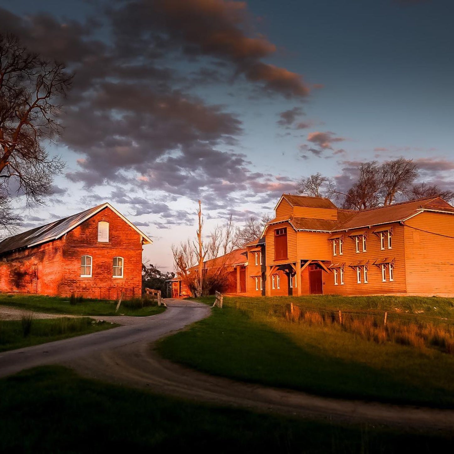 Yeringberg Cabernet Sauvignon 2019