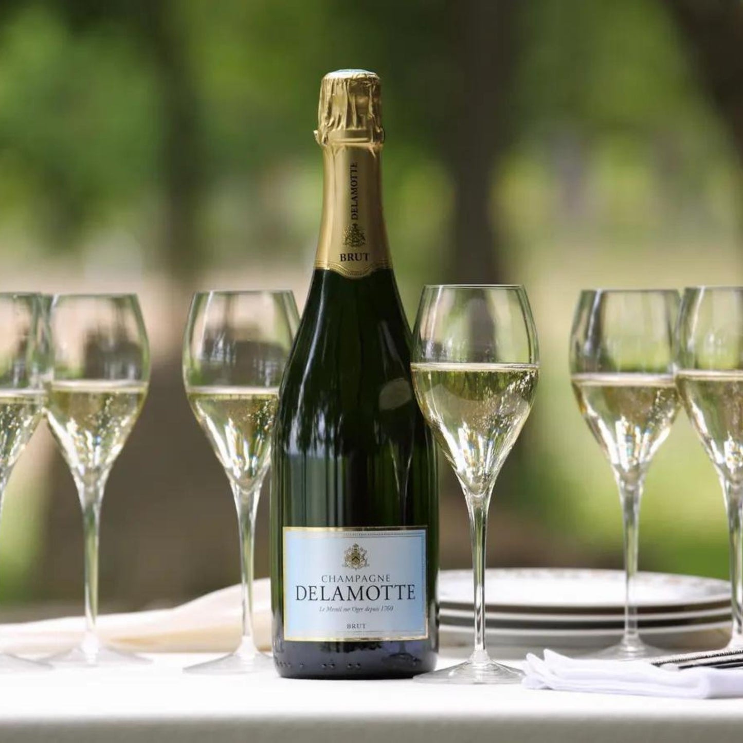 Champagne Delamotte Brut NV