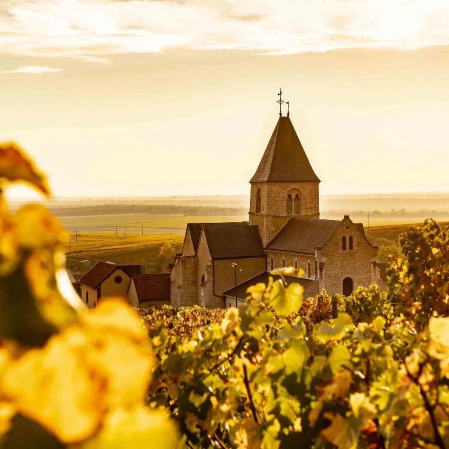 Champagne Delamotte Brut NV