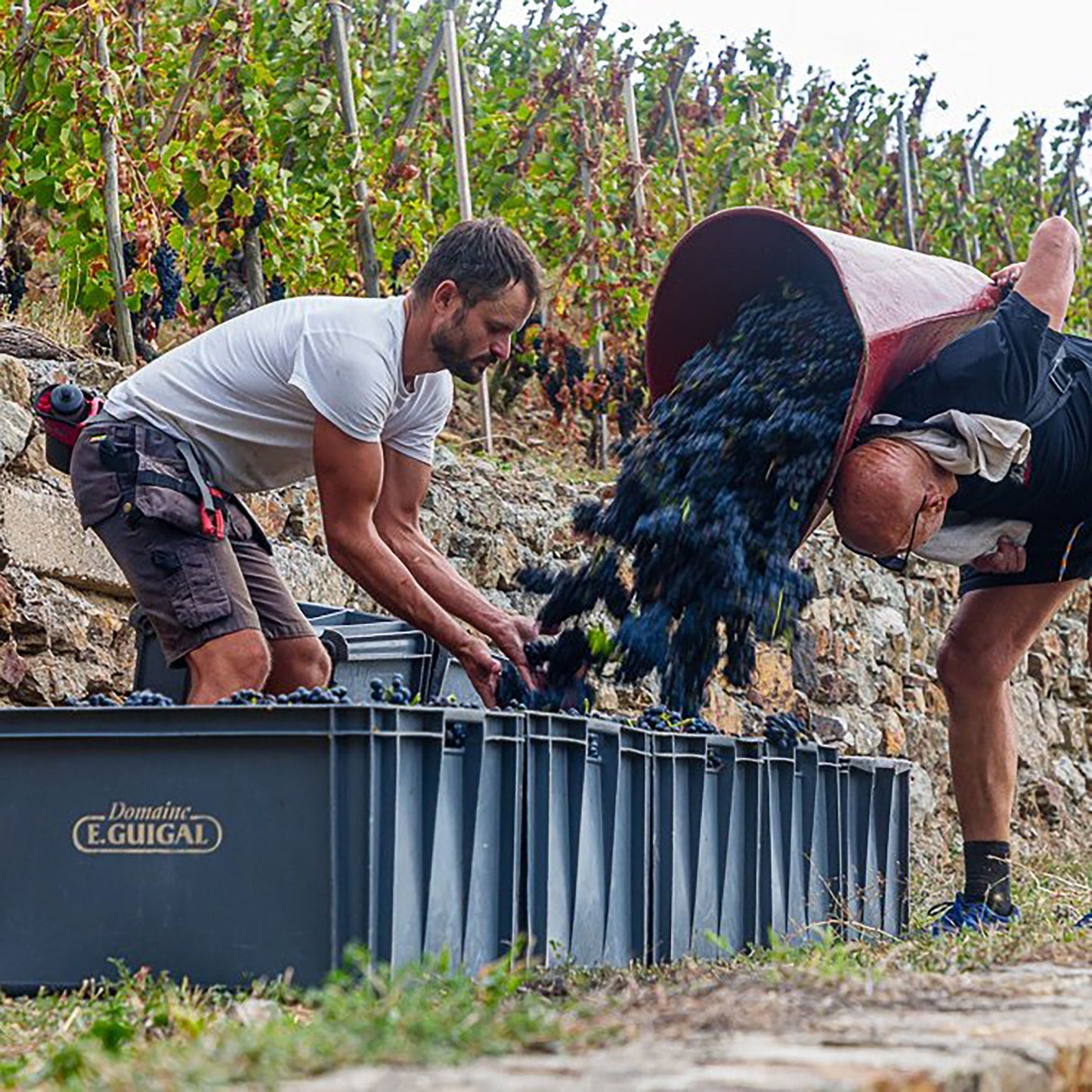 Guigal Cote-Rotie 'La Mouline' 2013