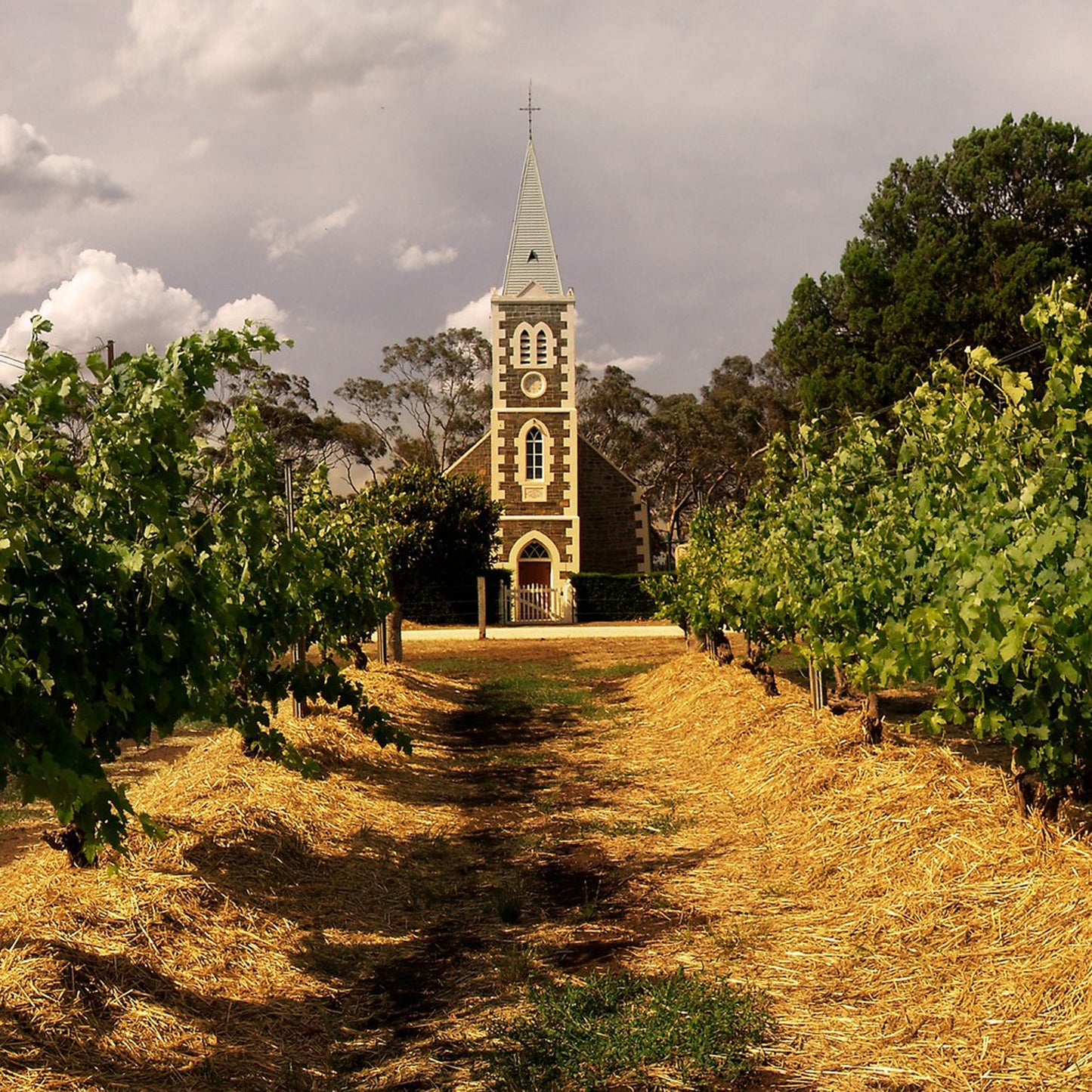 Henschke Innes Vineyard Pinot Gris 2023