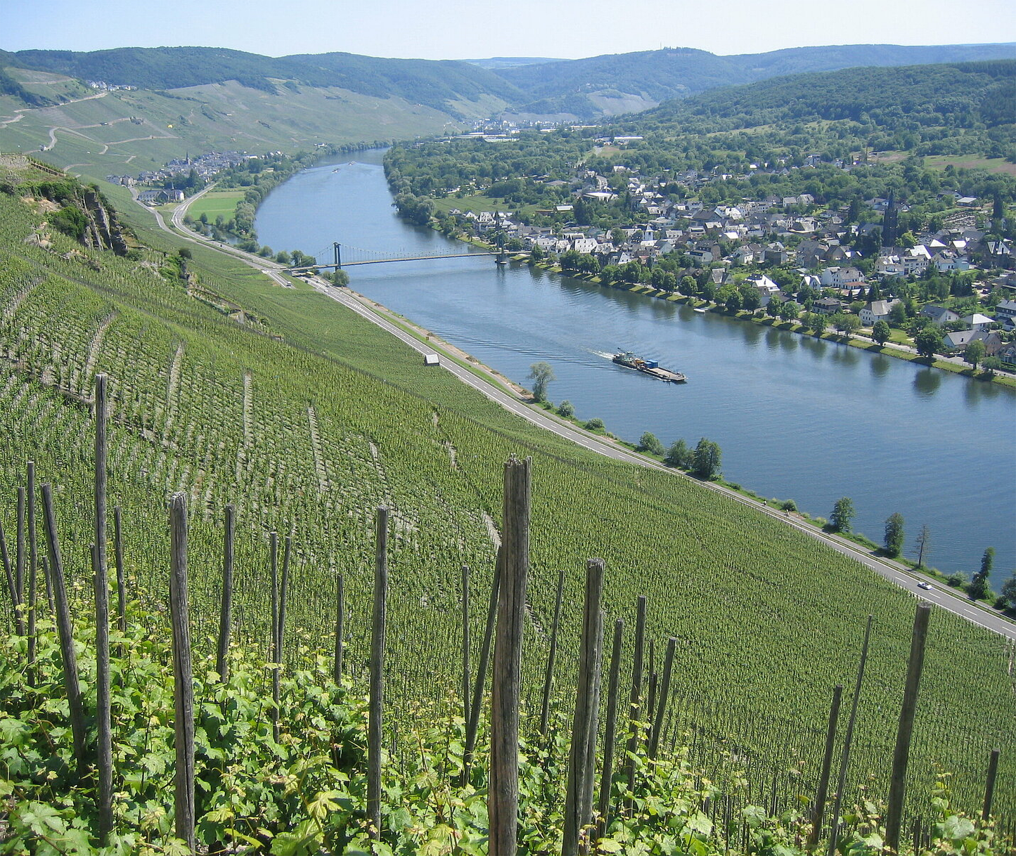 Joh Jos Prüm Wehlener Sonnenuhr Riesling Auslese 2021