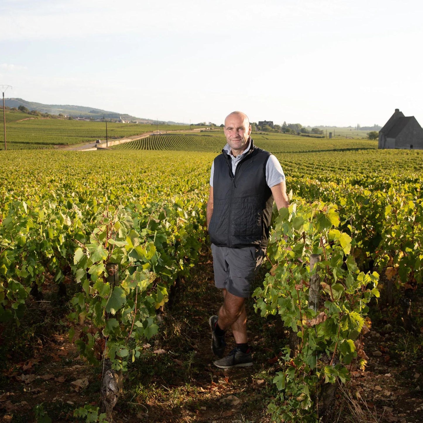 Pierre-Yves Colin-Morey Bourgogne Rose de Pinot 2023
