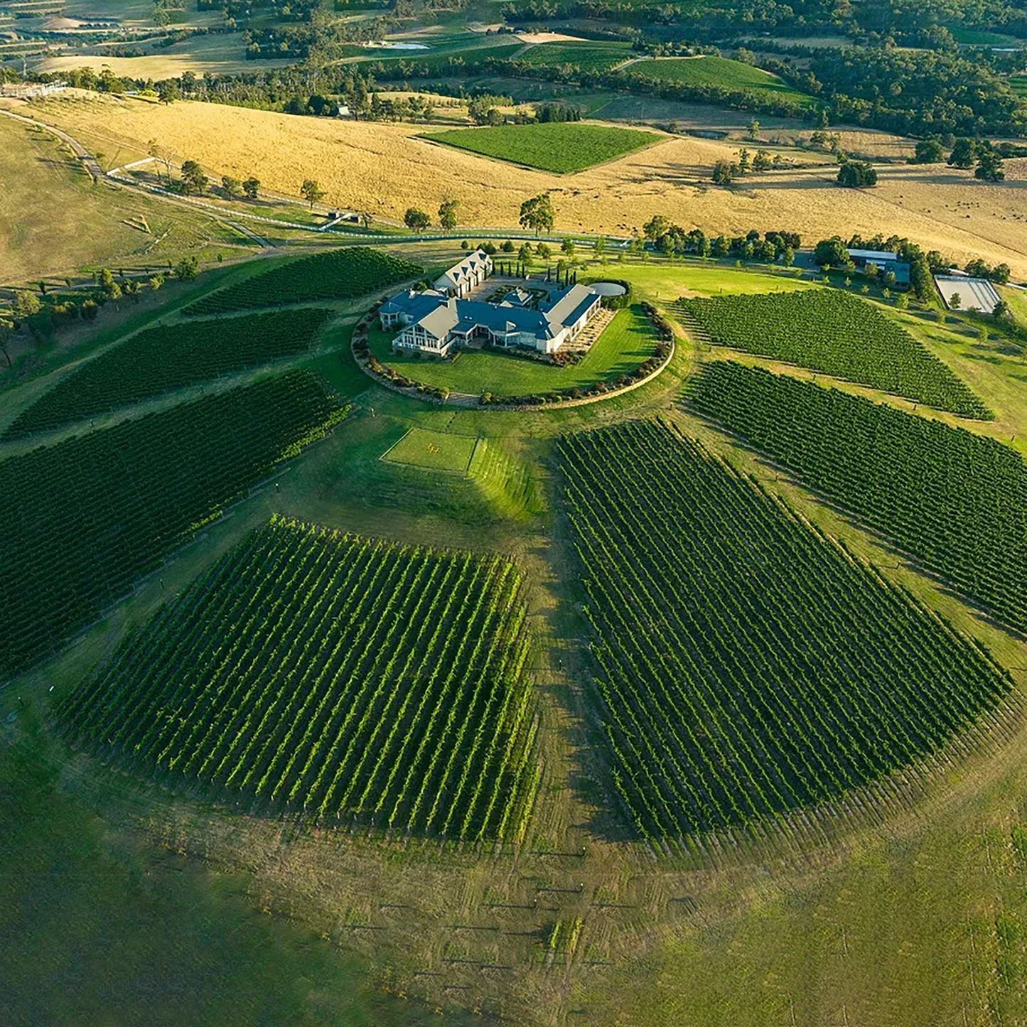 Levantine Hill Estate Chardonnay 2020