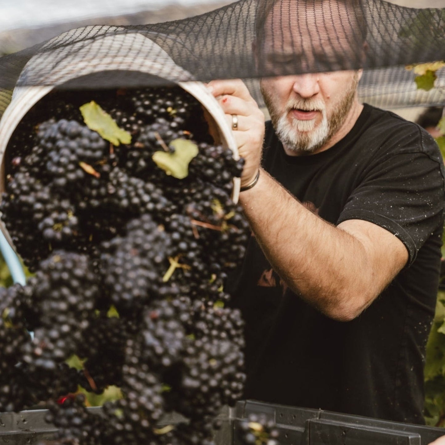 Nanny Goat Pinot Noir 2022