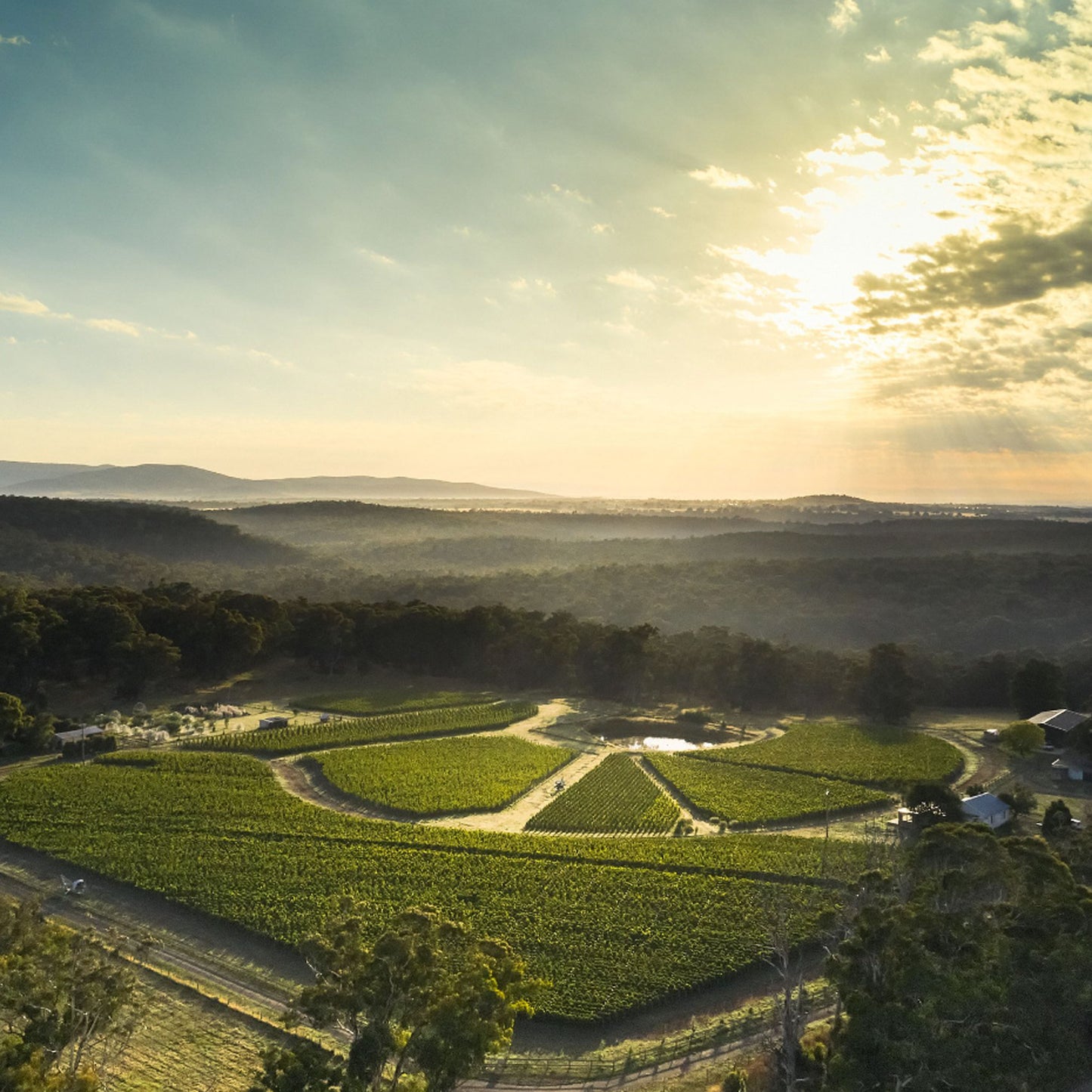 Place of Changing Winds Annus Horribilis Pinot Noir 2020