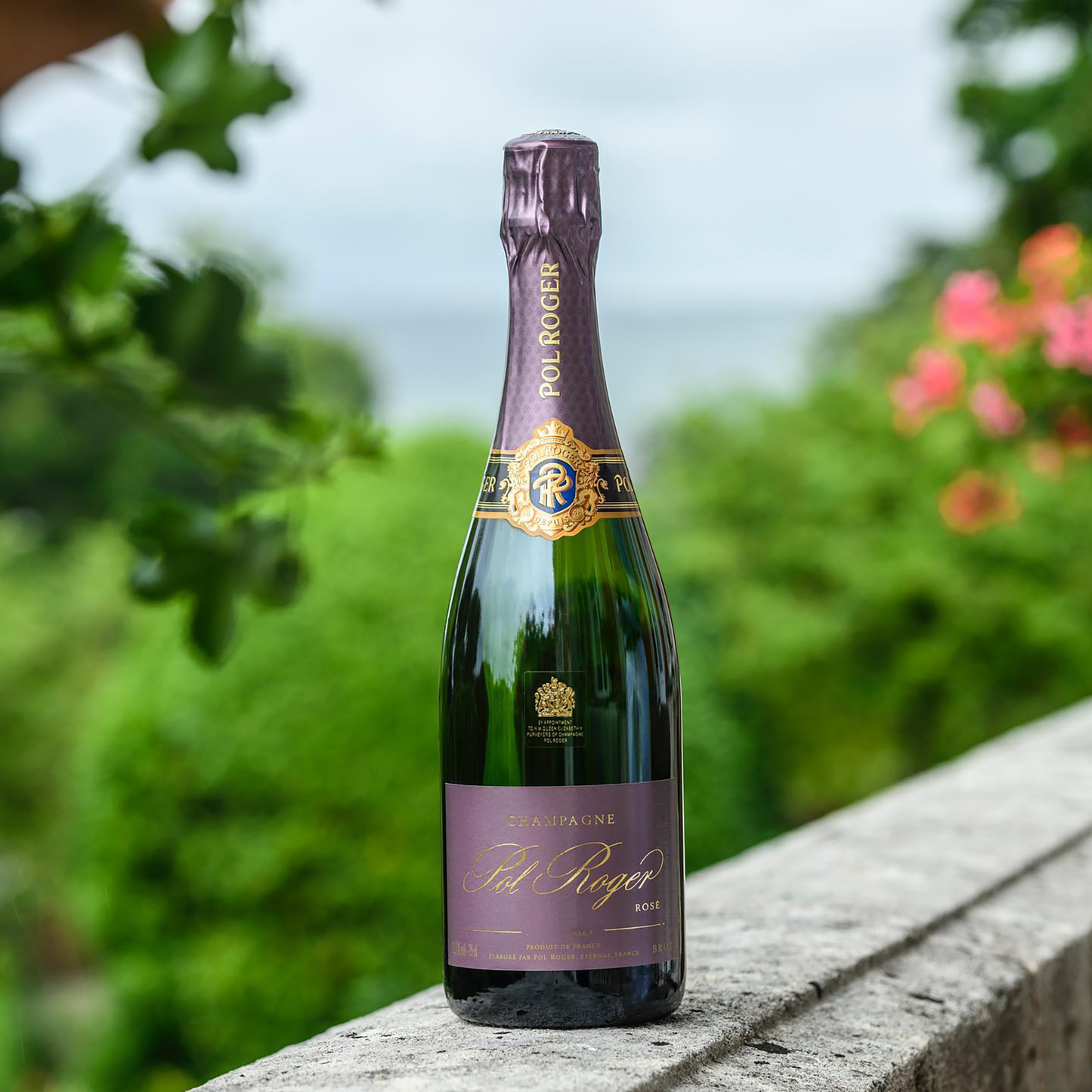 Pol Roger Brut Rose Vintage 2018