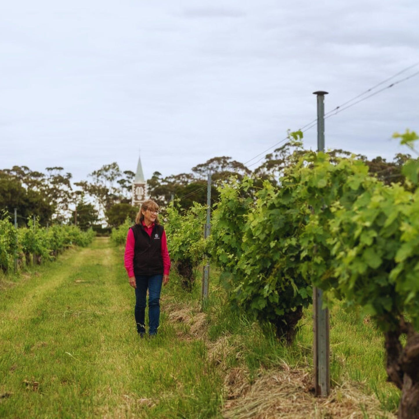 Henschke Hill of Grace Shiraz 2013
