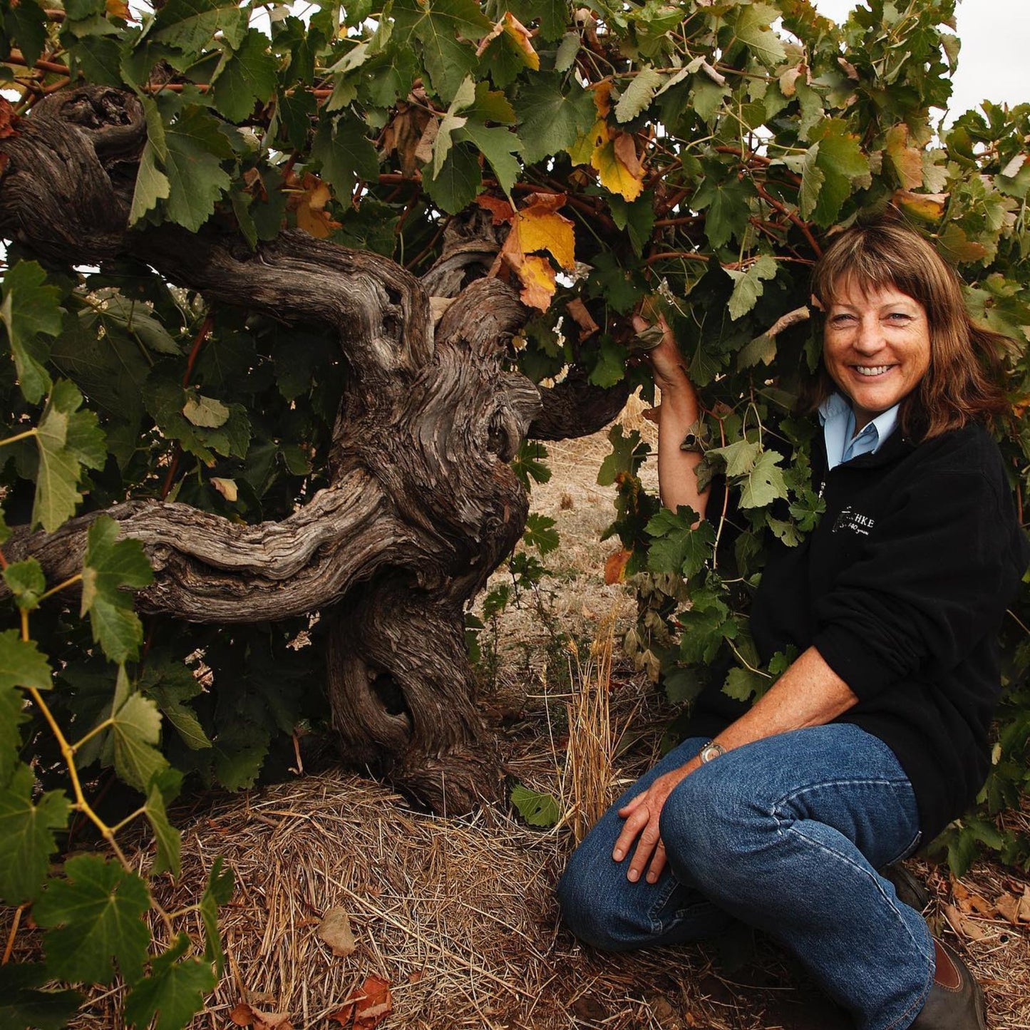 Henschke Hill of Grace Shiraz 1994