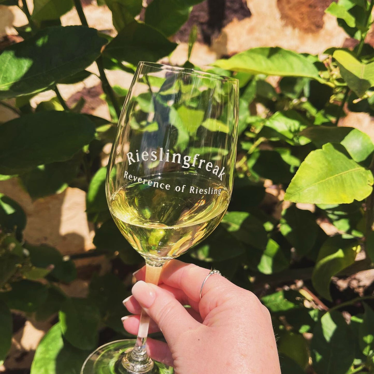 Rieslingfreak No.12 Flaxman Valley Riesling 2024