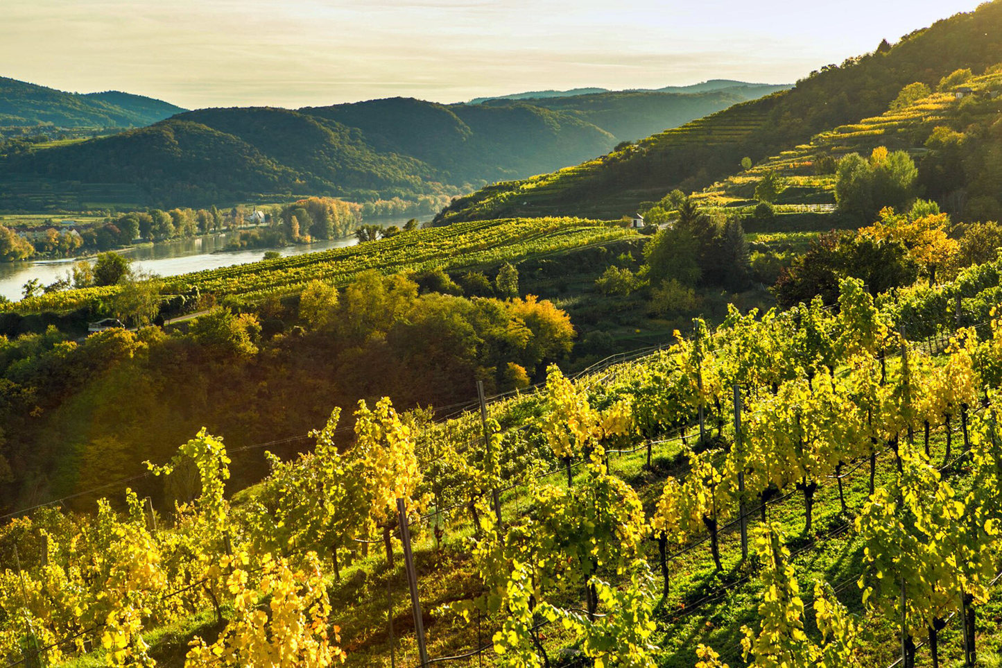 Salomon Undhof Riesling Kögl 1ÖTW Kremstal 2022