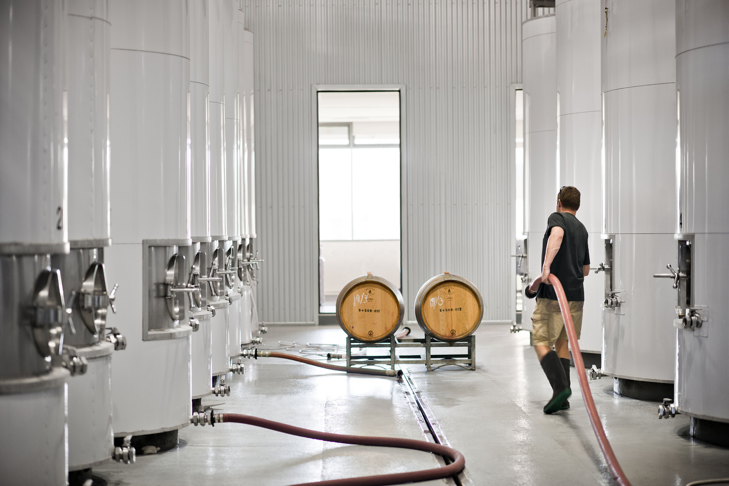 Shaw + Smith Lenswood Vineyard Chardonnay 2021