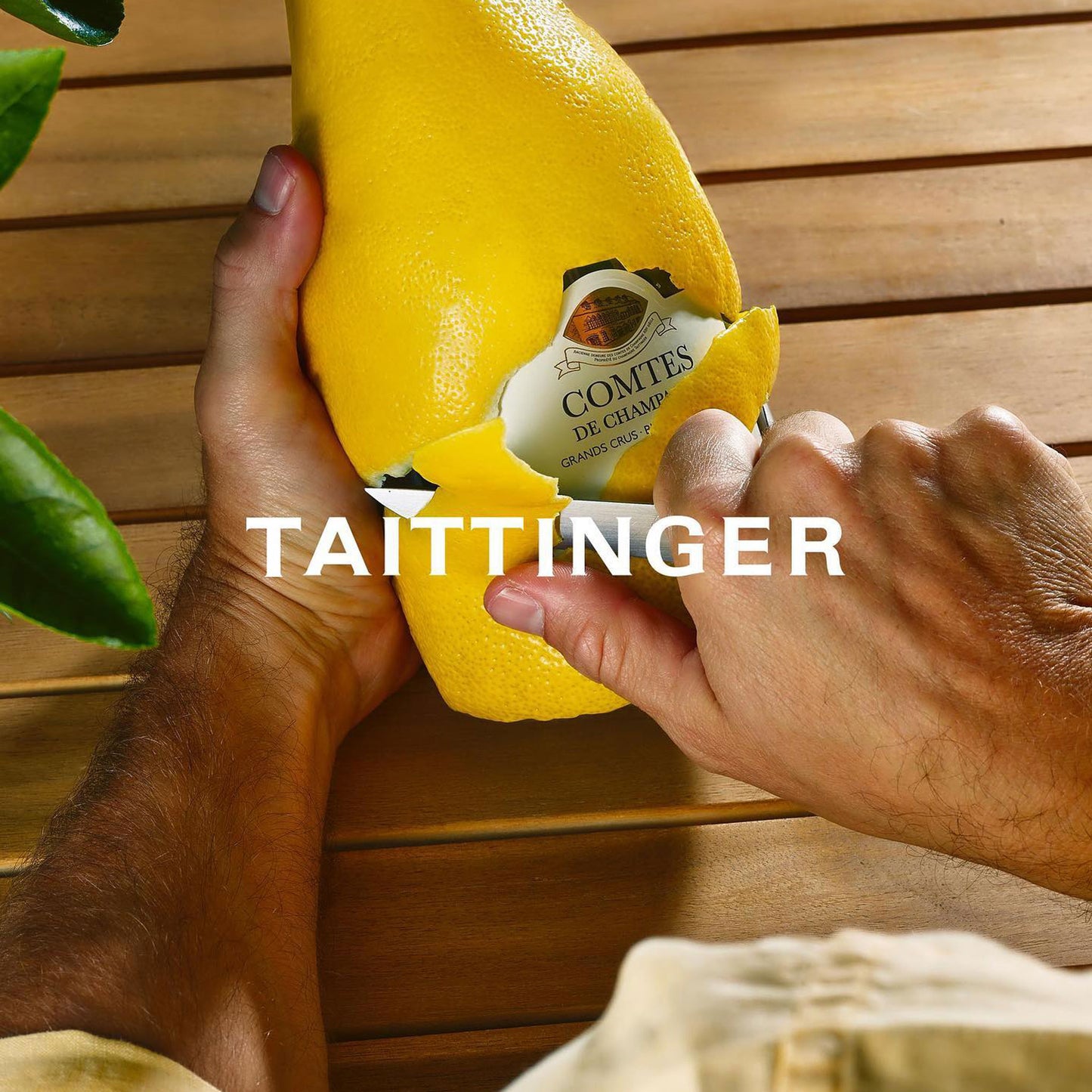 Taittinger Comtes de Champagne Grand Crus Blanc de Blancs 2013