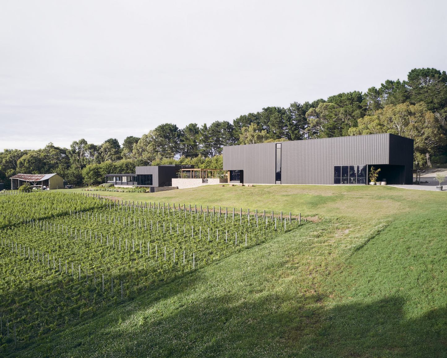 Ten Minutes By Tractor Wallis Chardonnay 2021