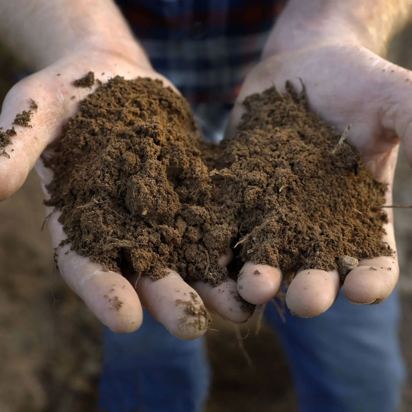 Thomas Wines DJV Shiraz Pinot Noir 2023