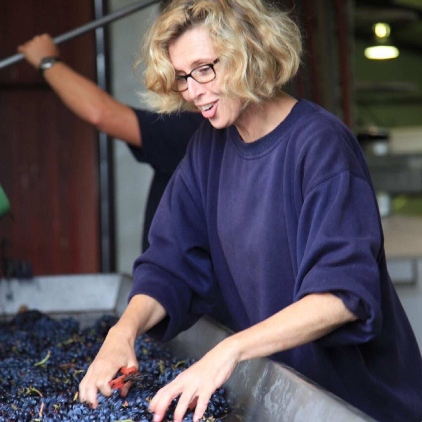 Fire Gully Shiraz 2022