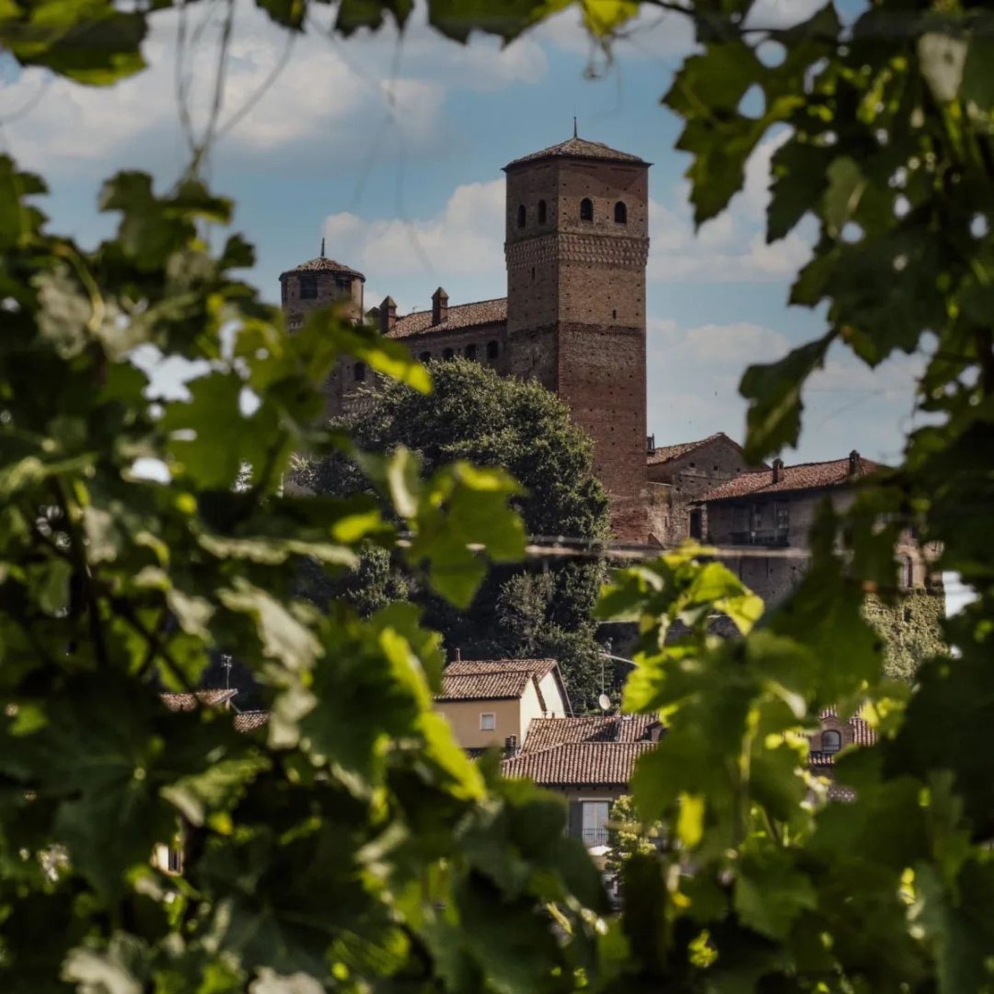 Vietti Langhe Nebbiolo Perbacco 2020 1.5L