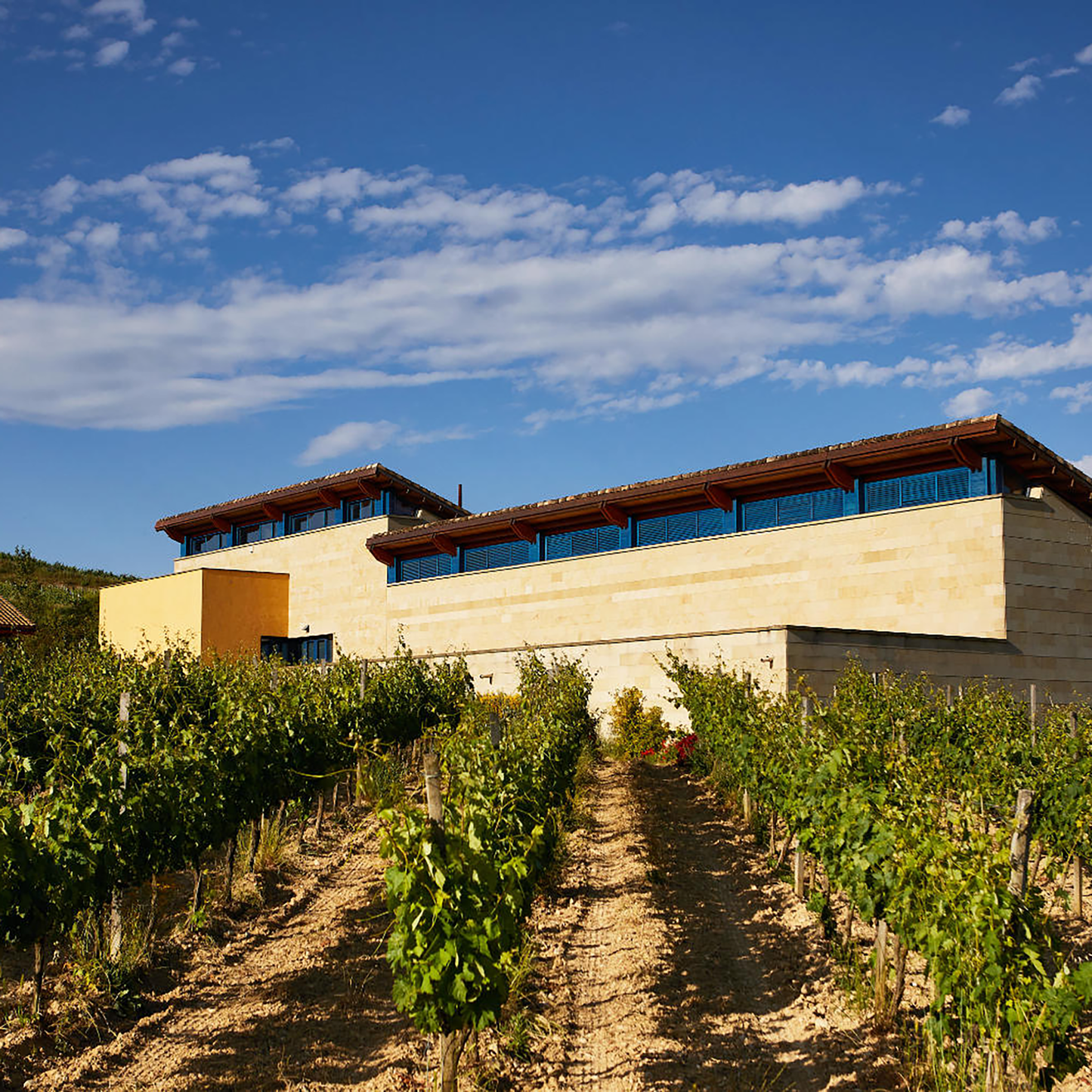 Valenciso Rioja Laderas De Cabama 2021