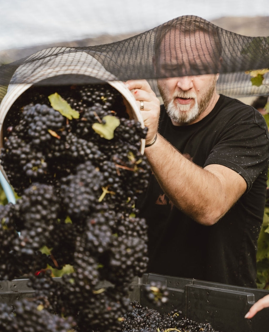 Nanny Goat Single Vineyards Queensberry Pinot Noir 2022