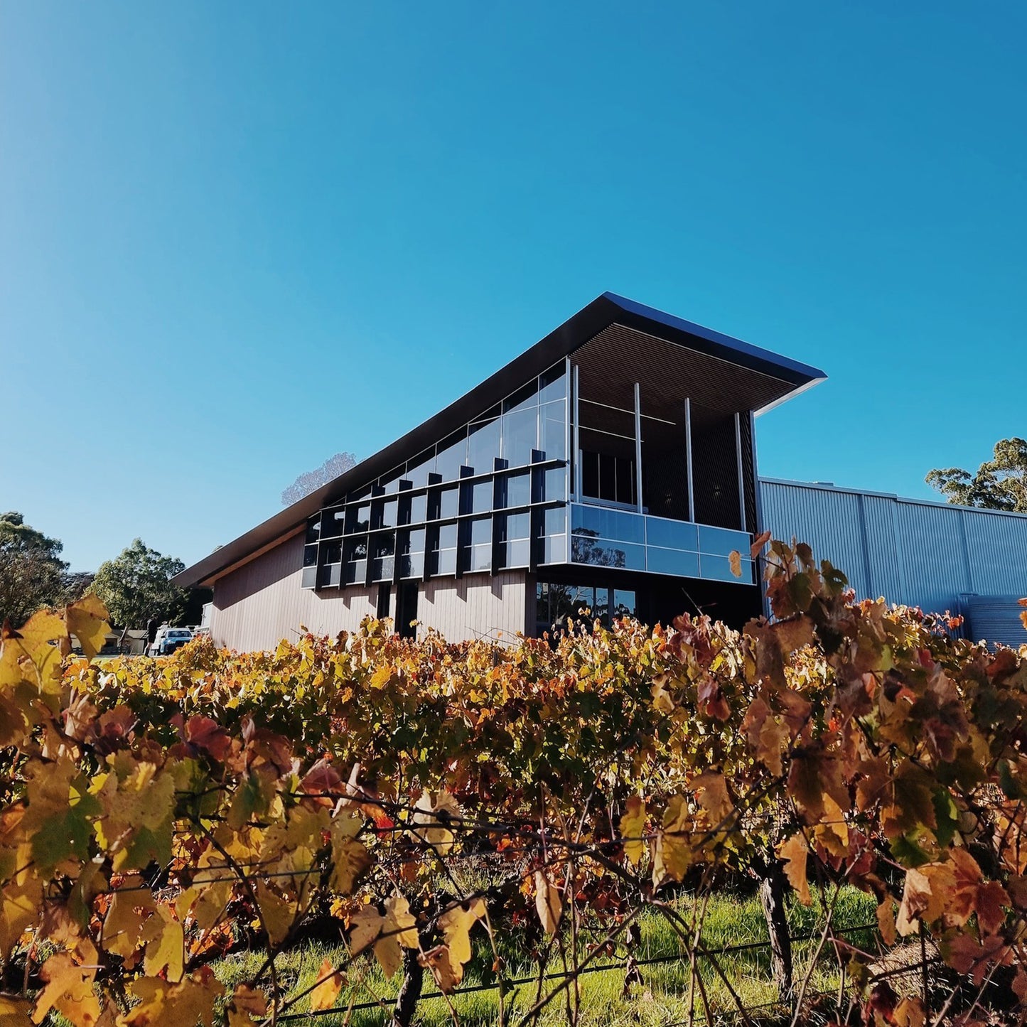 Yangarra Estate Shiraz 2015