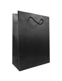 Triple Bottle Gift Bag - Black