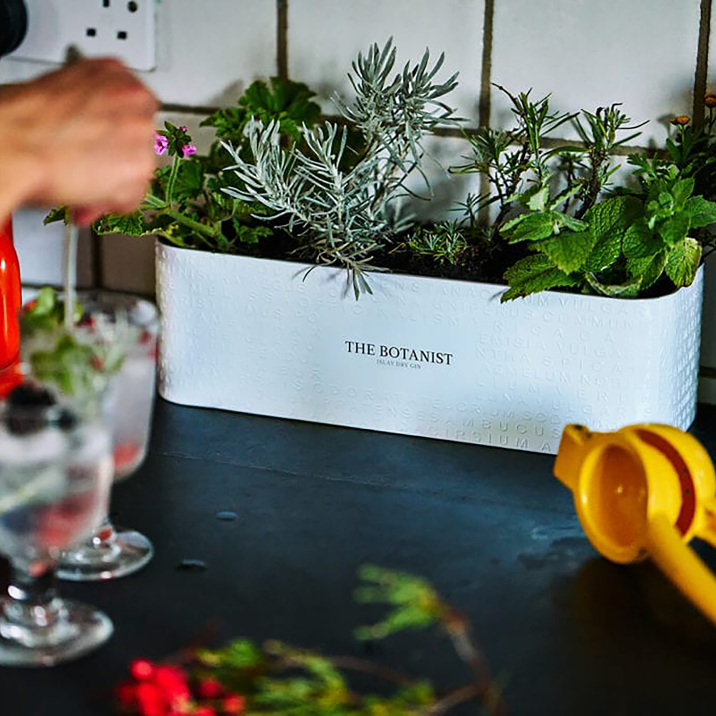 The Botanist Islay Dry Gin 700ml + Planter Gift Pack - CBD Cellars
