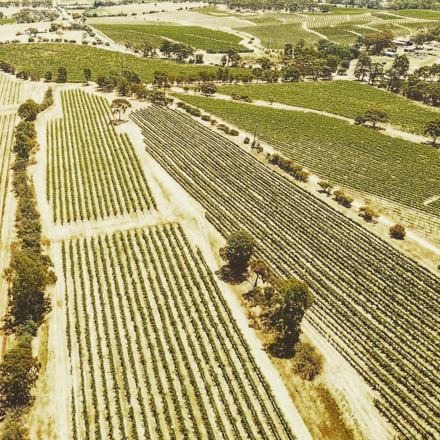 Jim Barry The Armagh Shiraz 2019