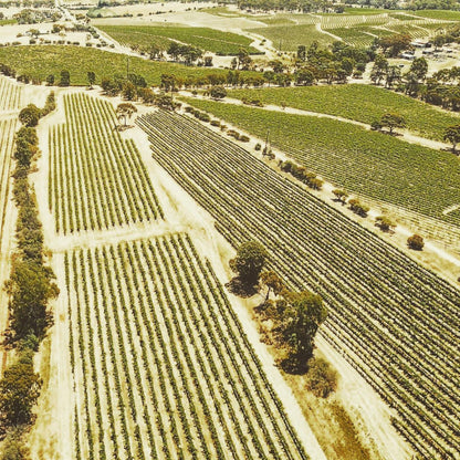 Jim Barry The Armagh Shiraz 2019