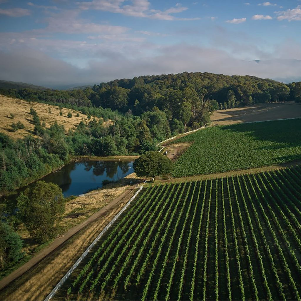 Giant Steps Wombat Creek Vineyard Pinot Noir 2022