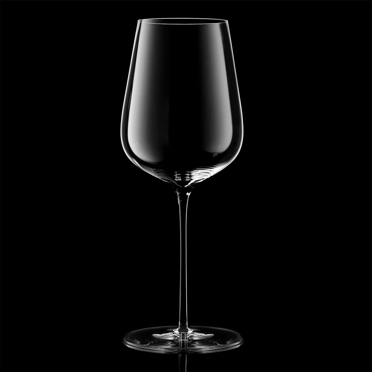 Glasvin Universal 2 Pack