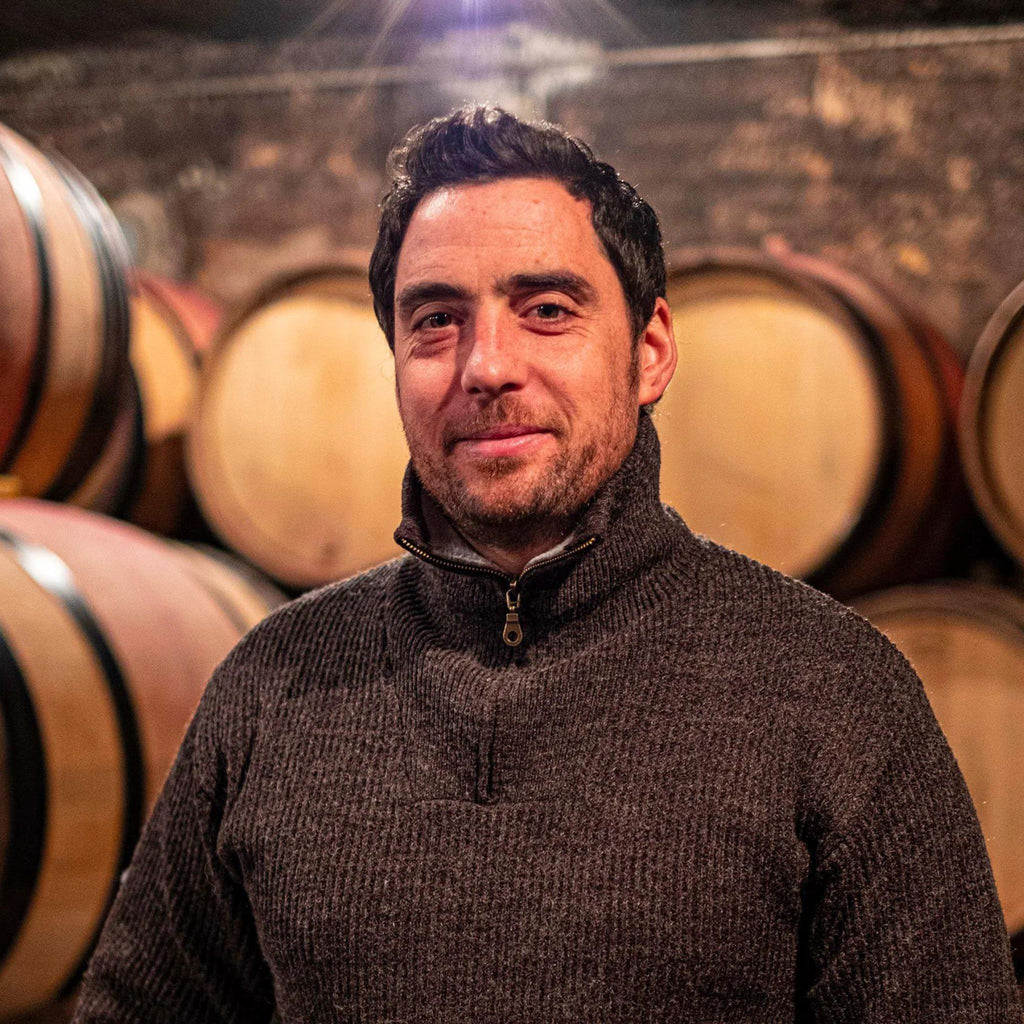 Domaine Jean-Marc et Thomas Bouley Pommard 2021