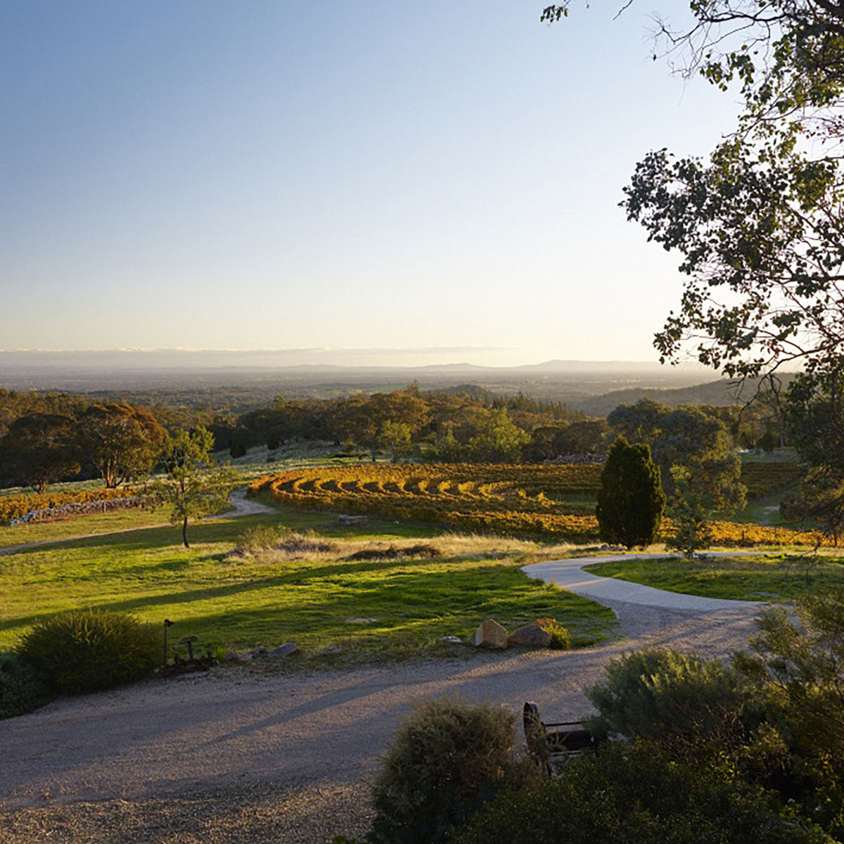 Giaconda Nantua Pinot Noir 2022