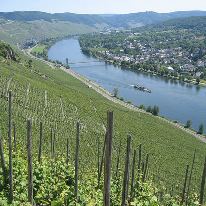 Joh Jos Prüm Wehlener Sonnenuhr Riesling Kabinett 2022